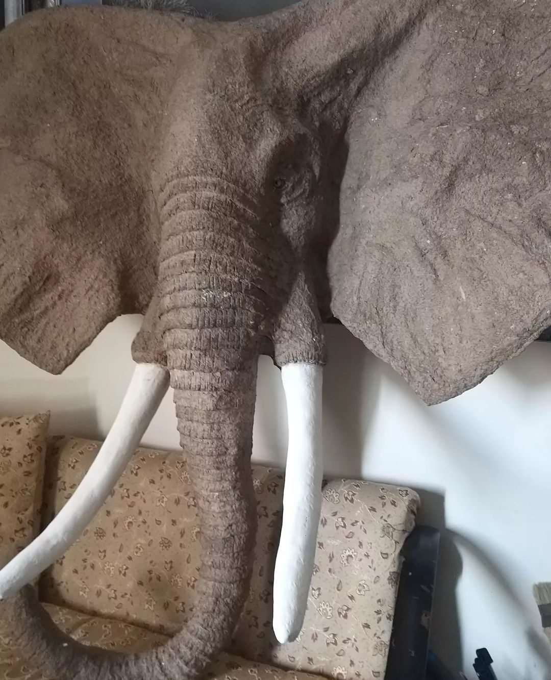 "Jungle Enhanther"
